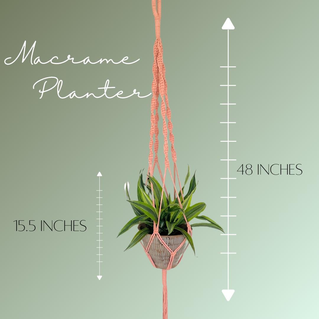 Macrame Plant Hanger, Indoor Planter, Hanging Plant Pot